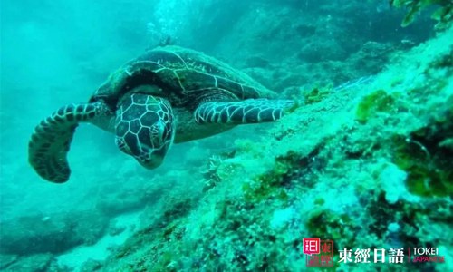 永田海灘