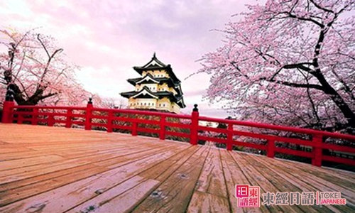 日本櫻花-日本文化概論-培訓(xùn)日語